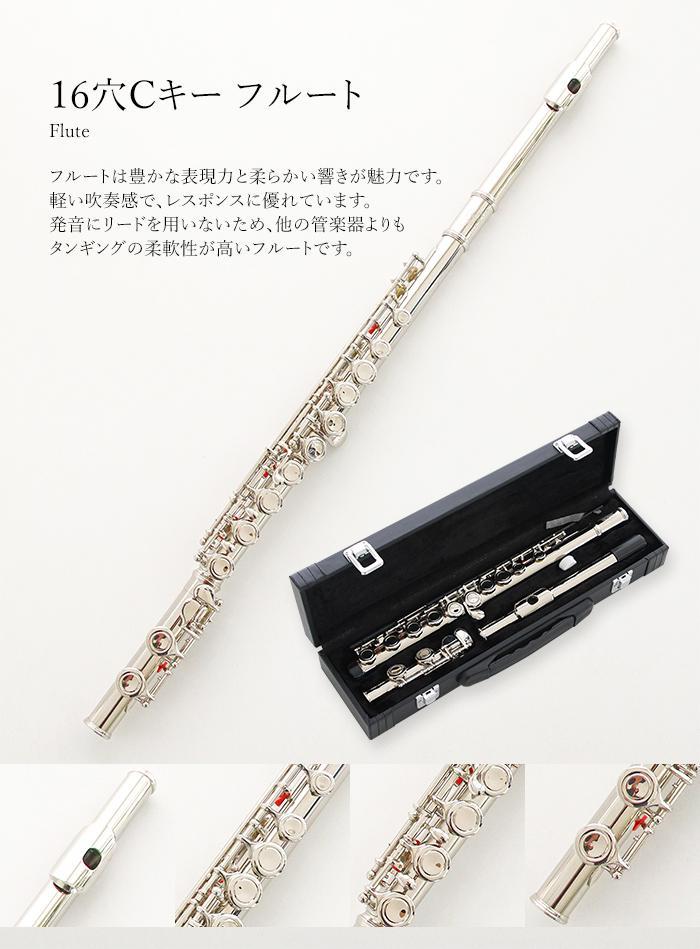 新品 未使用 送料無料 フルート 白銅製 初心者向け 学生 練習用 入門セット 新品 未使用 送料無料 フルート 白銅製 初心者向け 学生 練習用