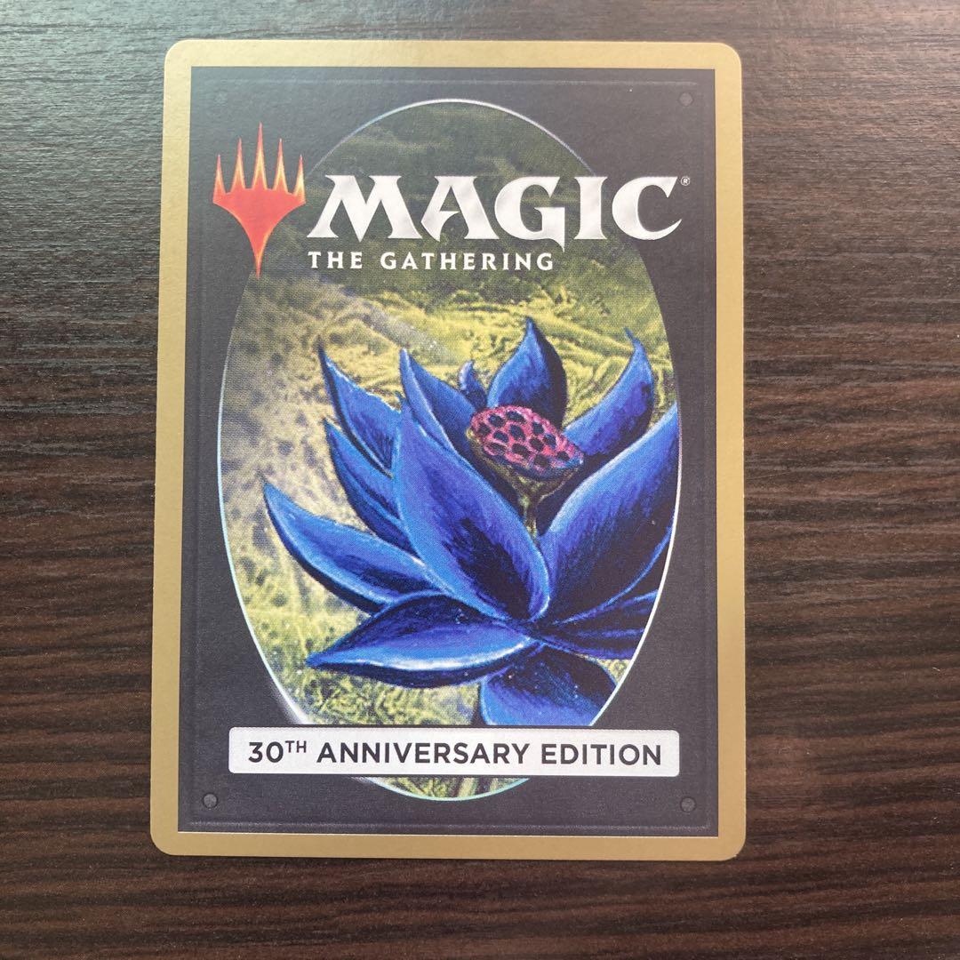 旧枠 奈落の王 Lord of the Pit MTG 30th edition