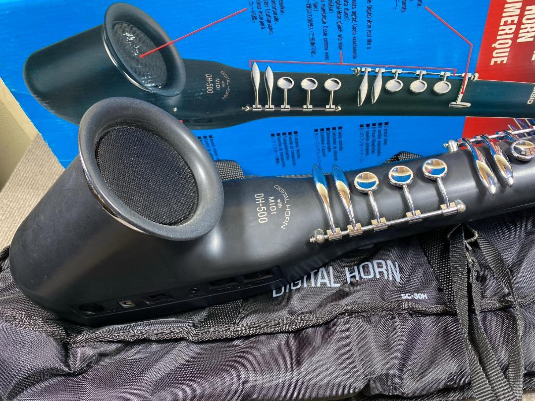 21 CASIO DH-500 デジタルホーン
