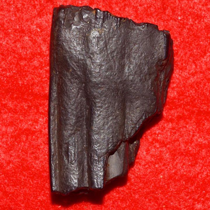 掛け軸 家紋入り七福神 世界で弊社だけが作れる 二つとない貴方