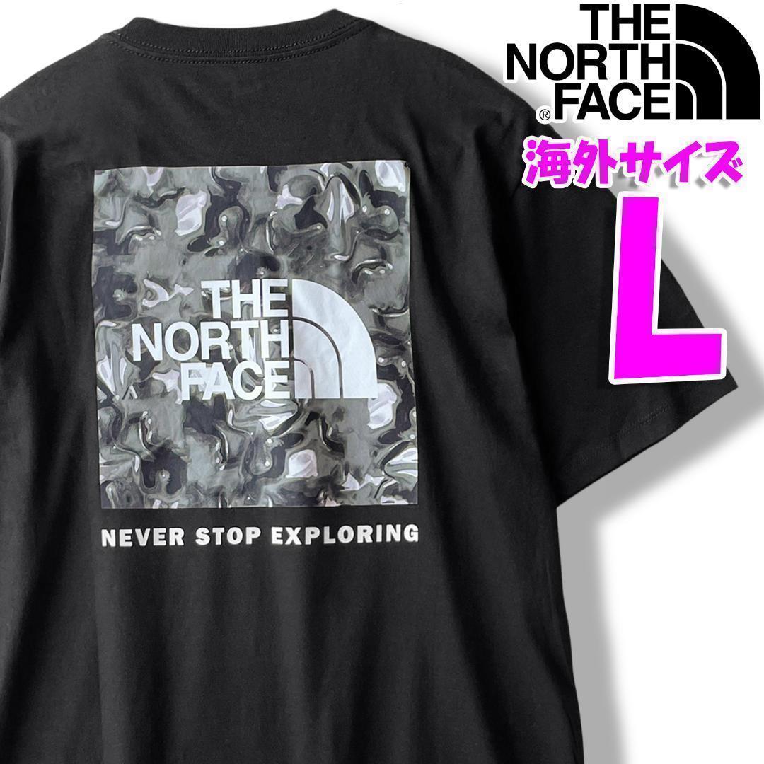 ノースフェイス 半袖 Tシャツ メンズ 黒 海外L 日本LL相当 MCbo