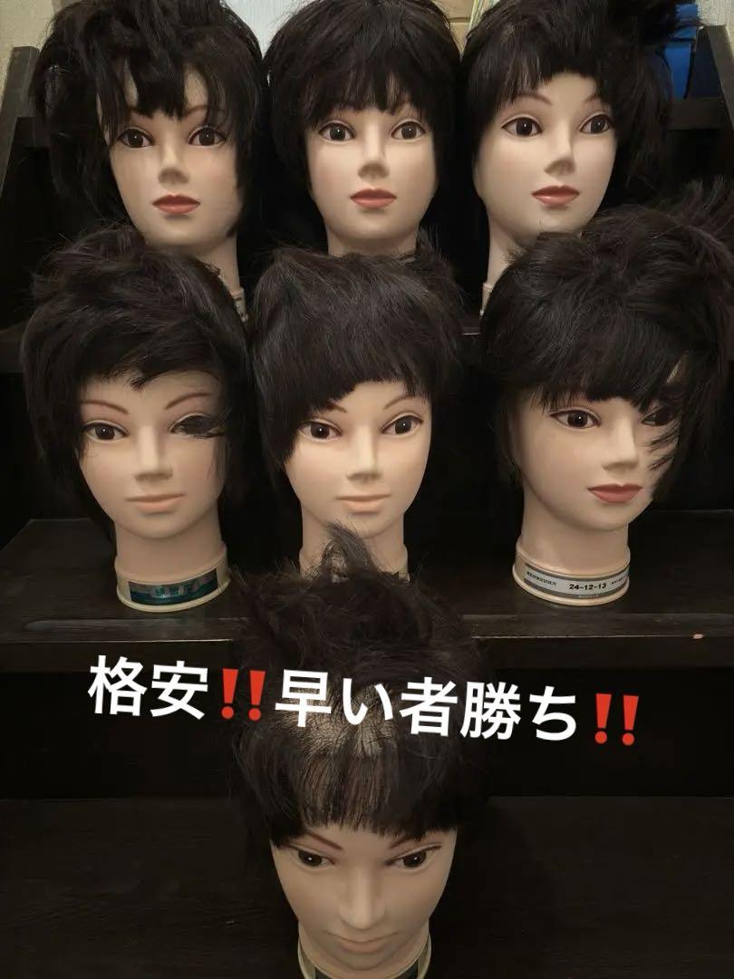 カットウイッグ ７個  練習用 B-07s カットウイッグ (カラー/パーマ対応・人毛100%)【3日間