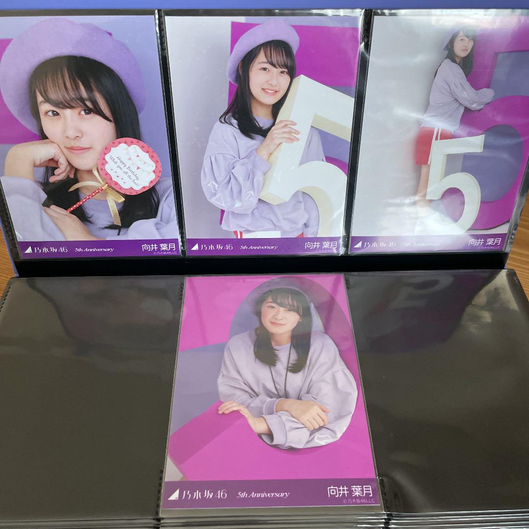 乃木坂46 向井葉月 直筆サイン入り生写真 - メルカリ