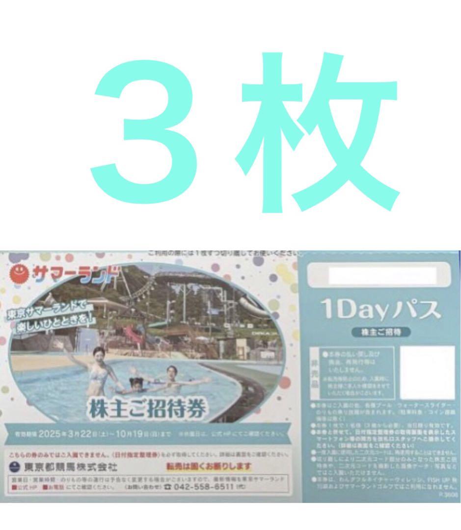 東京サマーランド株主ご招待券サマーランド１DAYパス株式優待券株主優待券w223