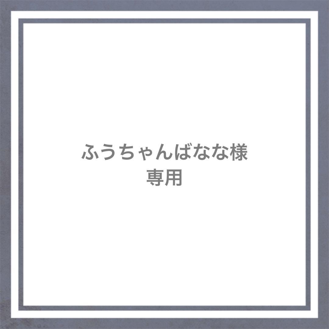 ふうちゃんばなな様専用ですm(_ _)m