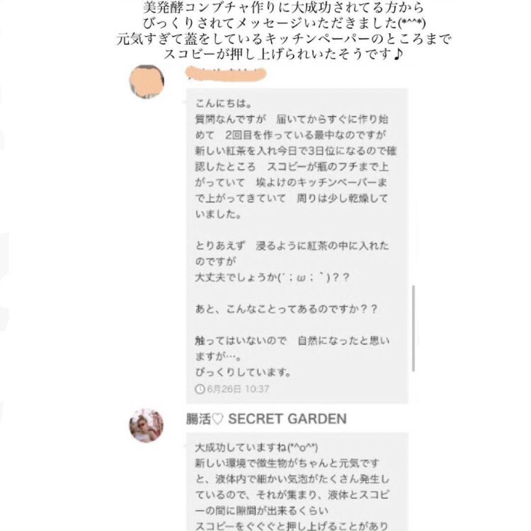 １.5L用　美発酵コンブチャ　スコビー マザー　詳しいレシピとサポート付き　腸活