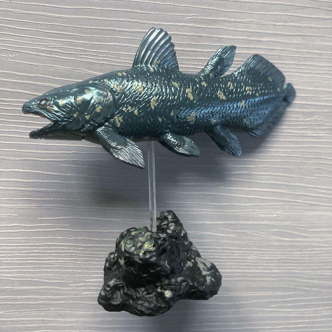Amazon | カロラータ 古代魚 フィギュア 立体図鑑 (古代生物 / 7
