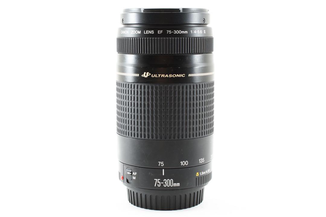 人気の望遠レンズ/フード付き/キヤノン Canon EF75-300㎜ 人気の望遠レンズ/フード付き/キヤノン Canon EF75-300㎜