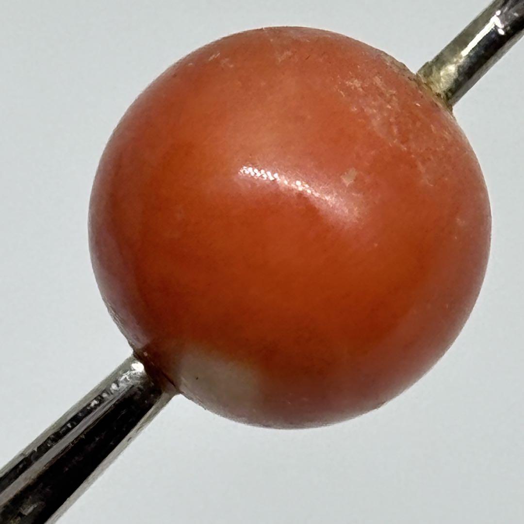 赤珊瑚 硝子