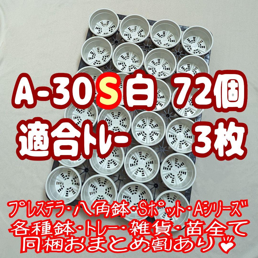 プラ鉢【A-30S】72個+専用システムトレー3枚スリット鉢プレステラ多肉植物☆