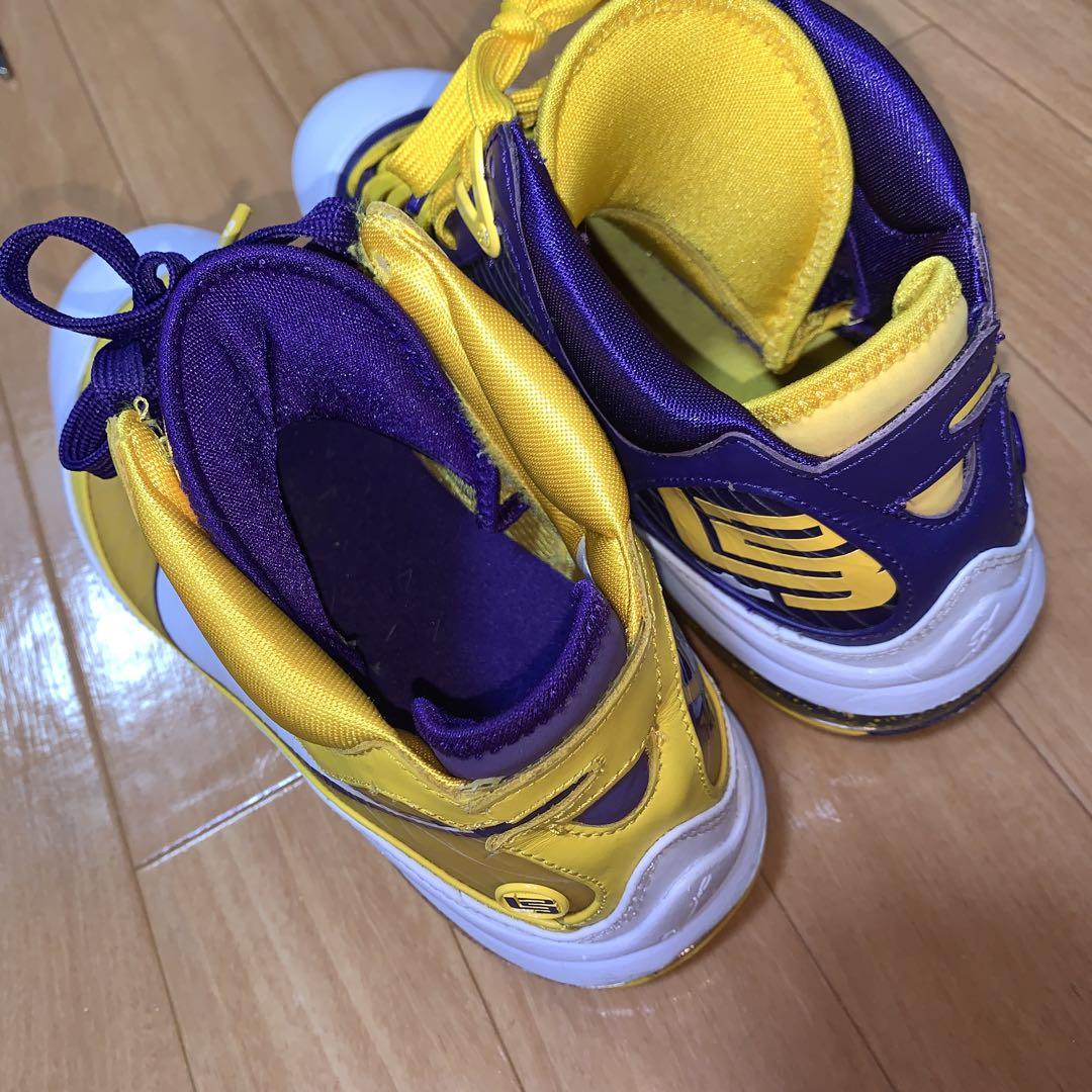 NIKE LEBRON 8 MEDIA DAY レブロン  スニーカー