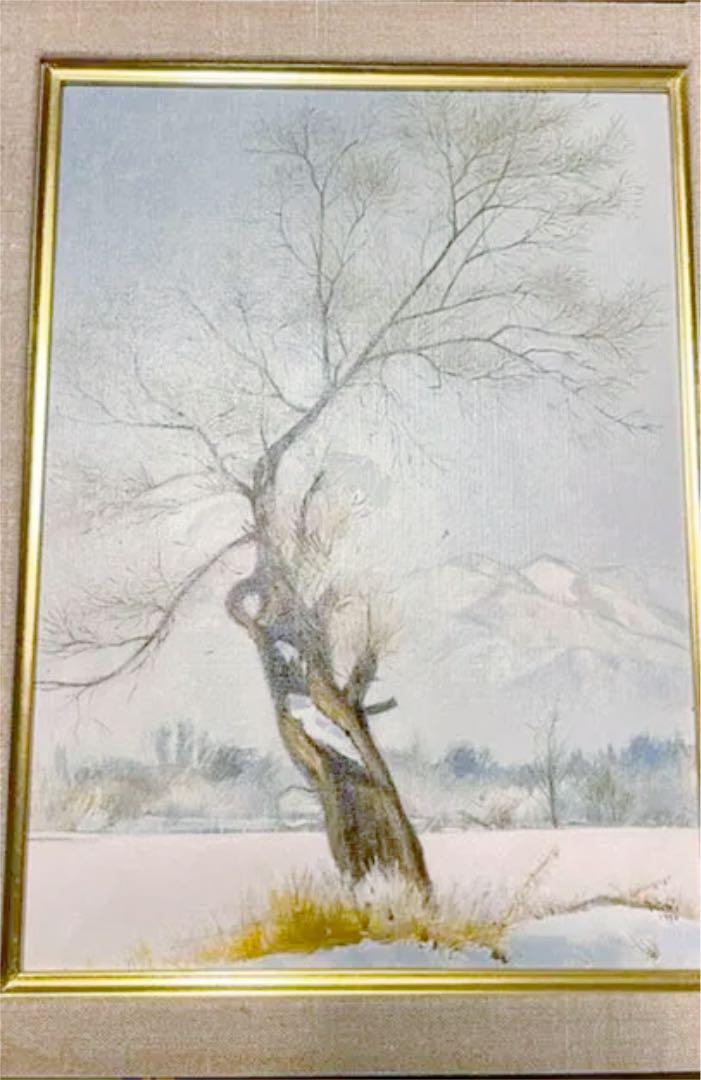 【絵画】井上武美　「老いた木」