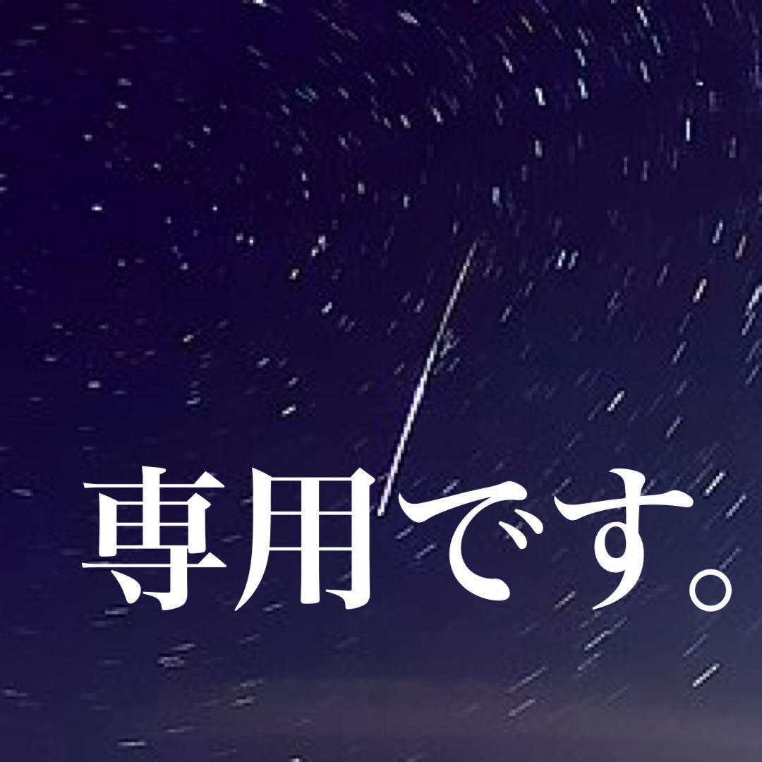 専用