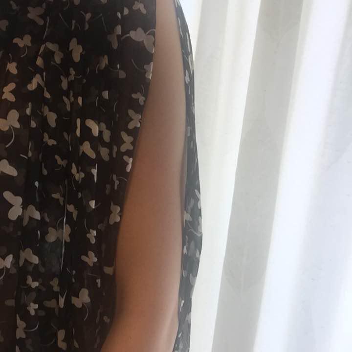 新着 ブラウス 蝶々柄 ISSA トップス