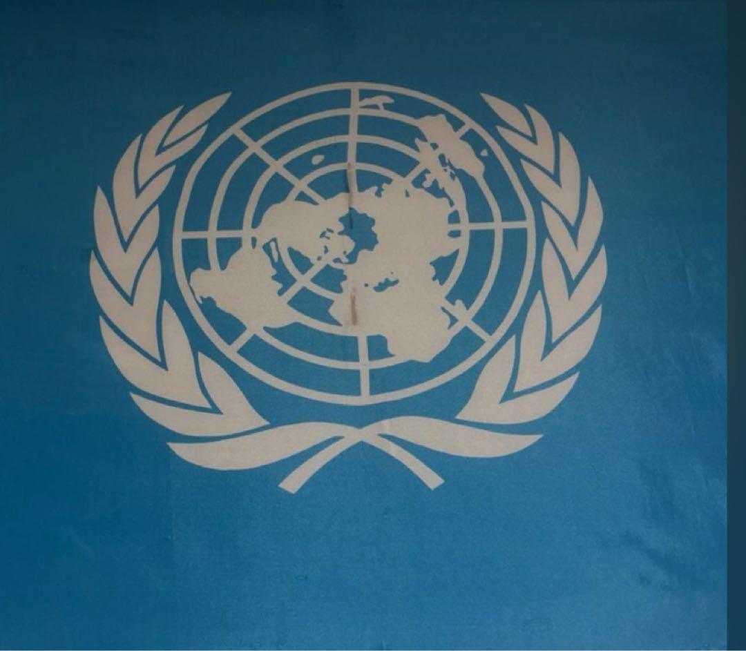 国連 フラッグ 青