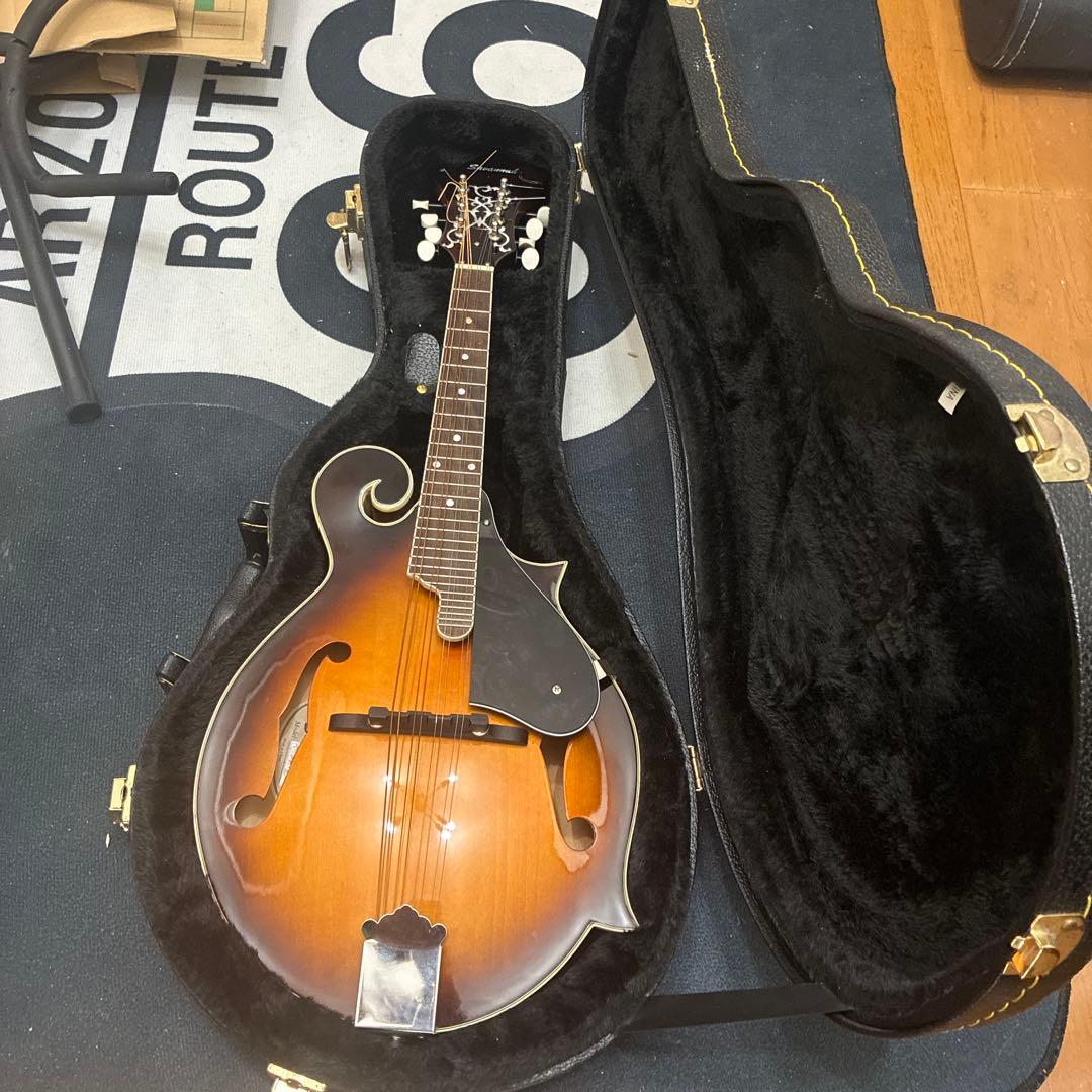 Savannah フラットマンドリン ハードケース付き - メルカリ