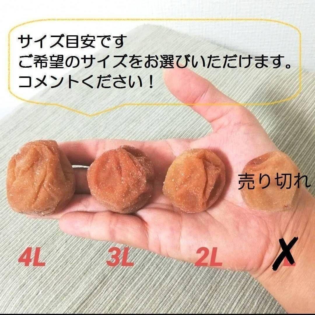 【お得！業務用9kg】天日塩と梅だけの紀州南高梅
