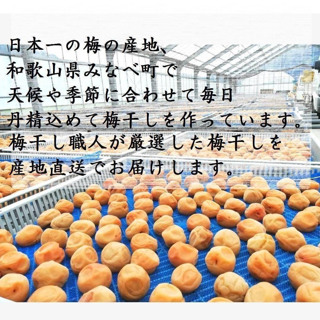 【お得！業務用9kg】天日塩と梅だけの紀州南高梅