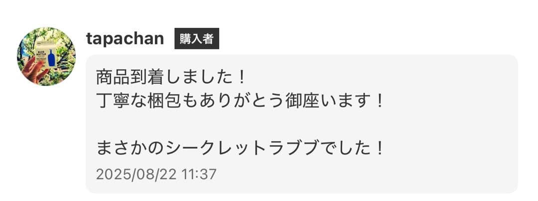 【正規品・未開封】Labubu Big into Energy 2箱　②