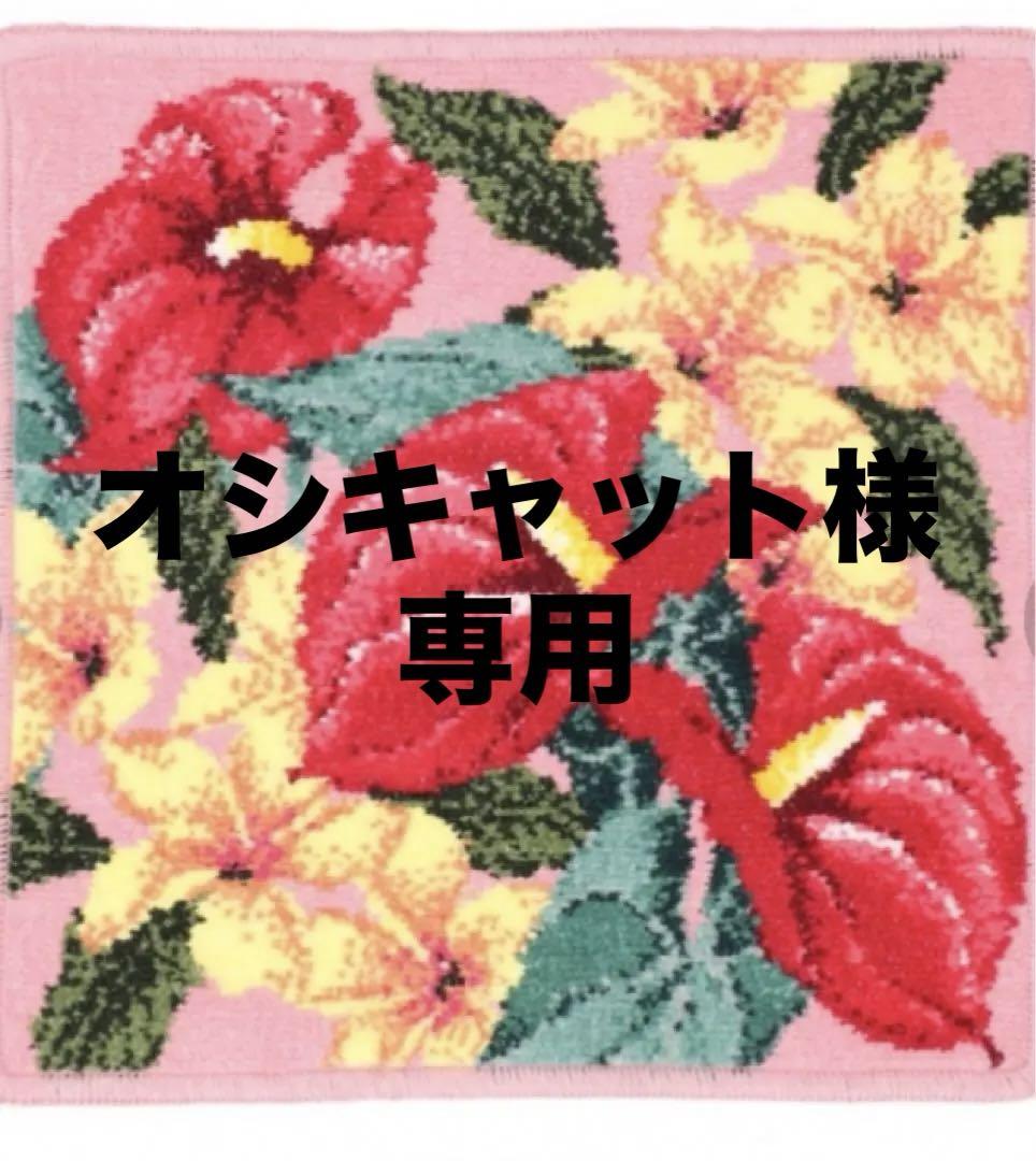 アロハキャシーマムシェニールミニタオルハンカチ  ¥2,550