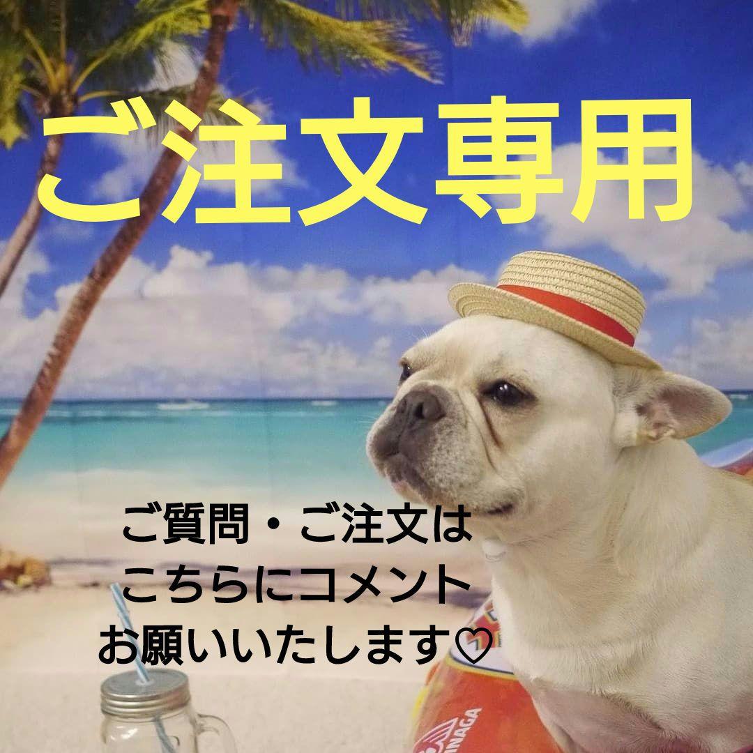 ご注文・ご予約専用