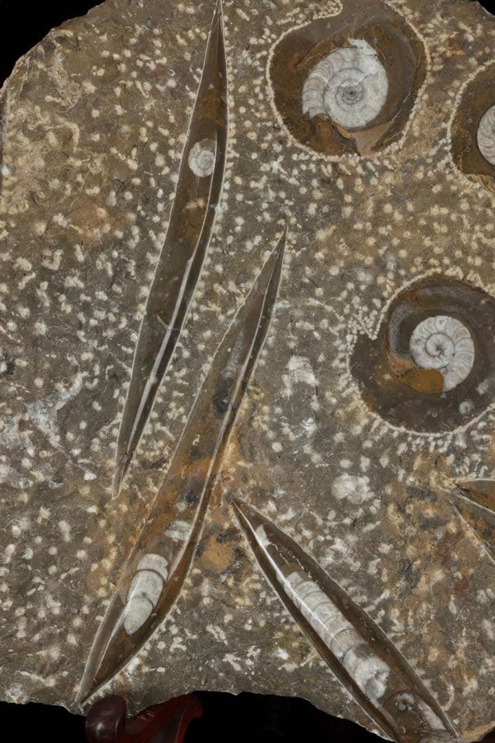 6.3kg台付 直角貝