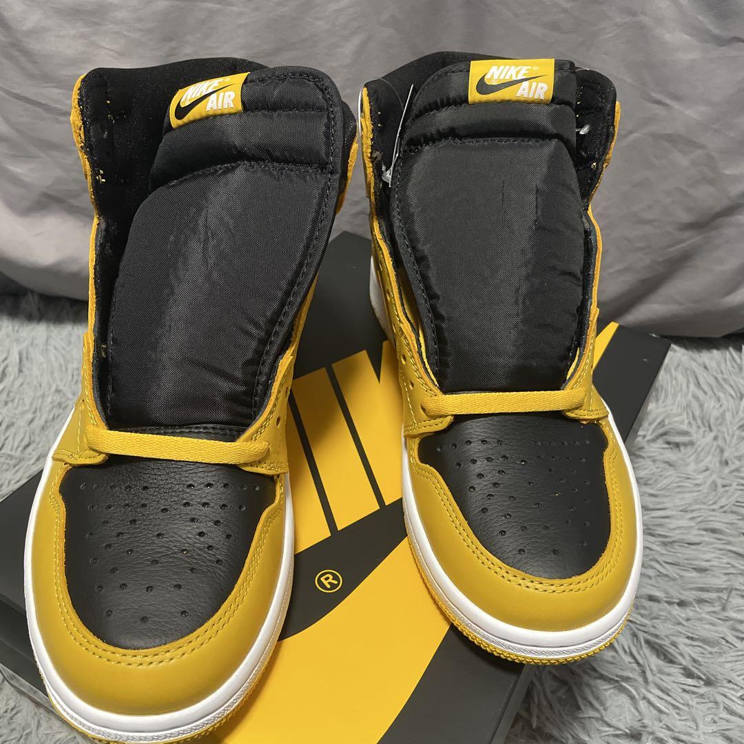 NIKE AIRJORDAN1 RETRO HIGH OG パラン