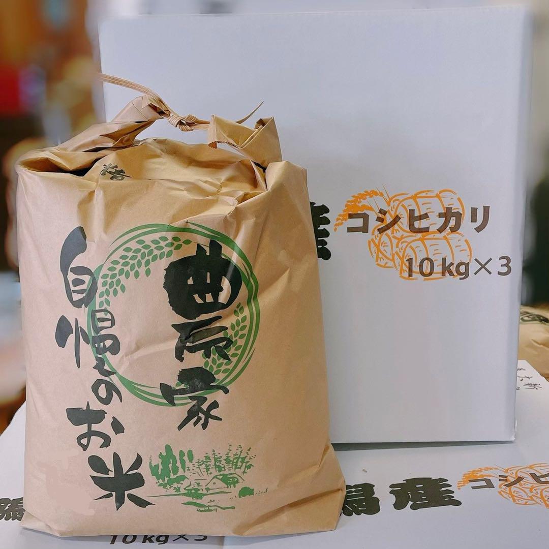 チコちゃん 　5kg×2(10kg)
