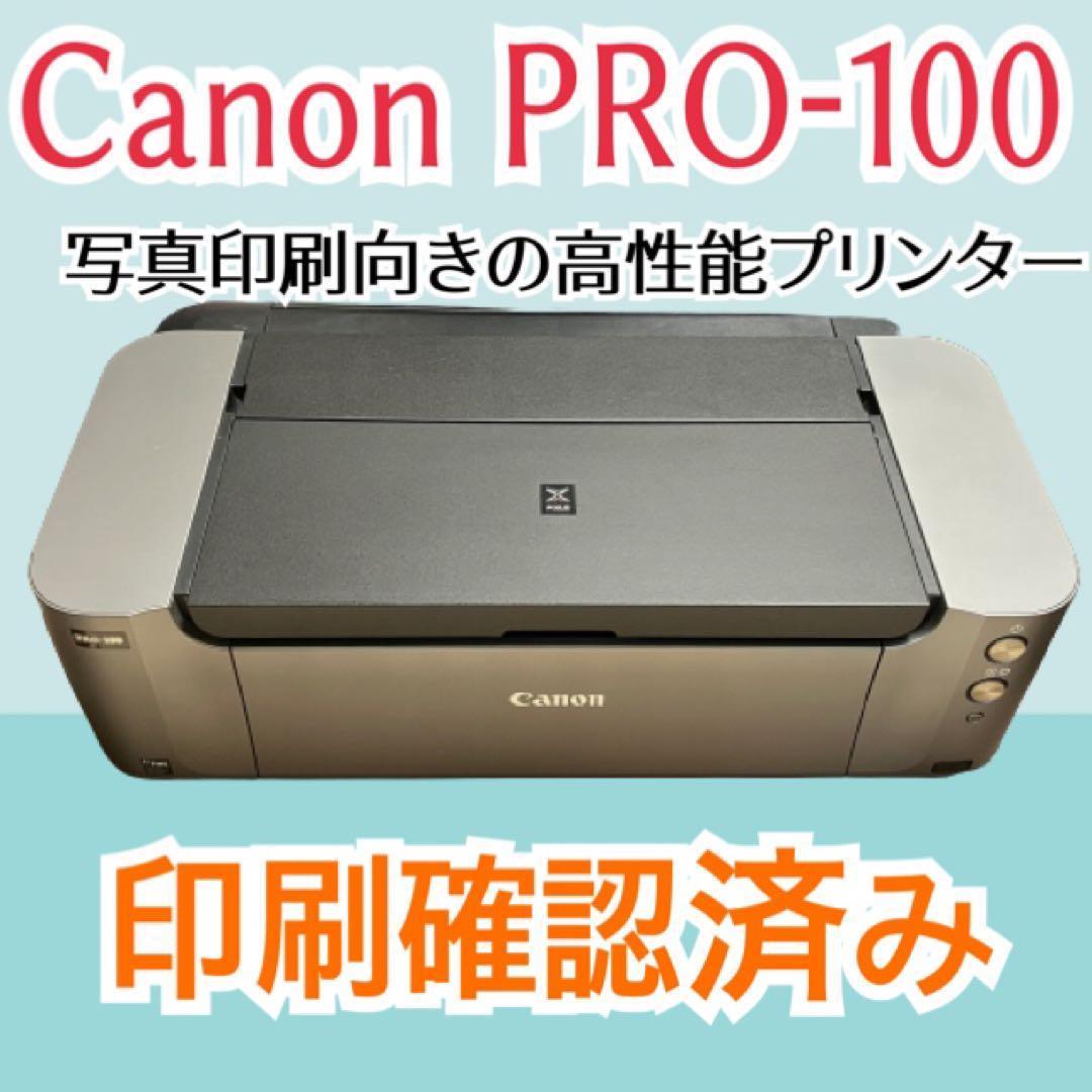 Canon pro-100 A3ノビ プリンター プロ機材 写真 印刷