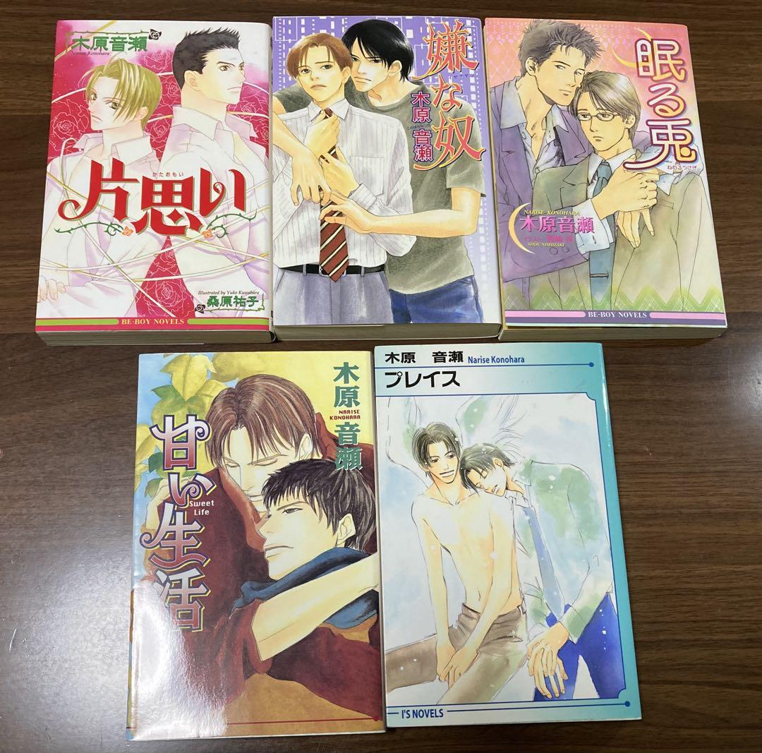 全国総量無料で 最終価格】木原音瀬 1冊除き初版 25冊セット