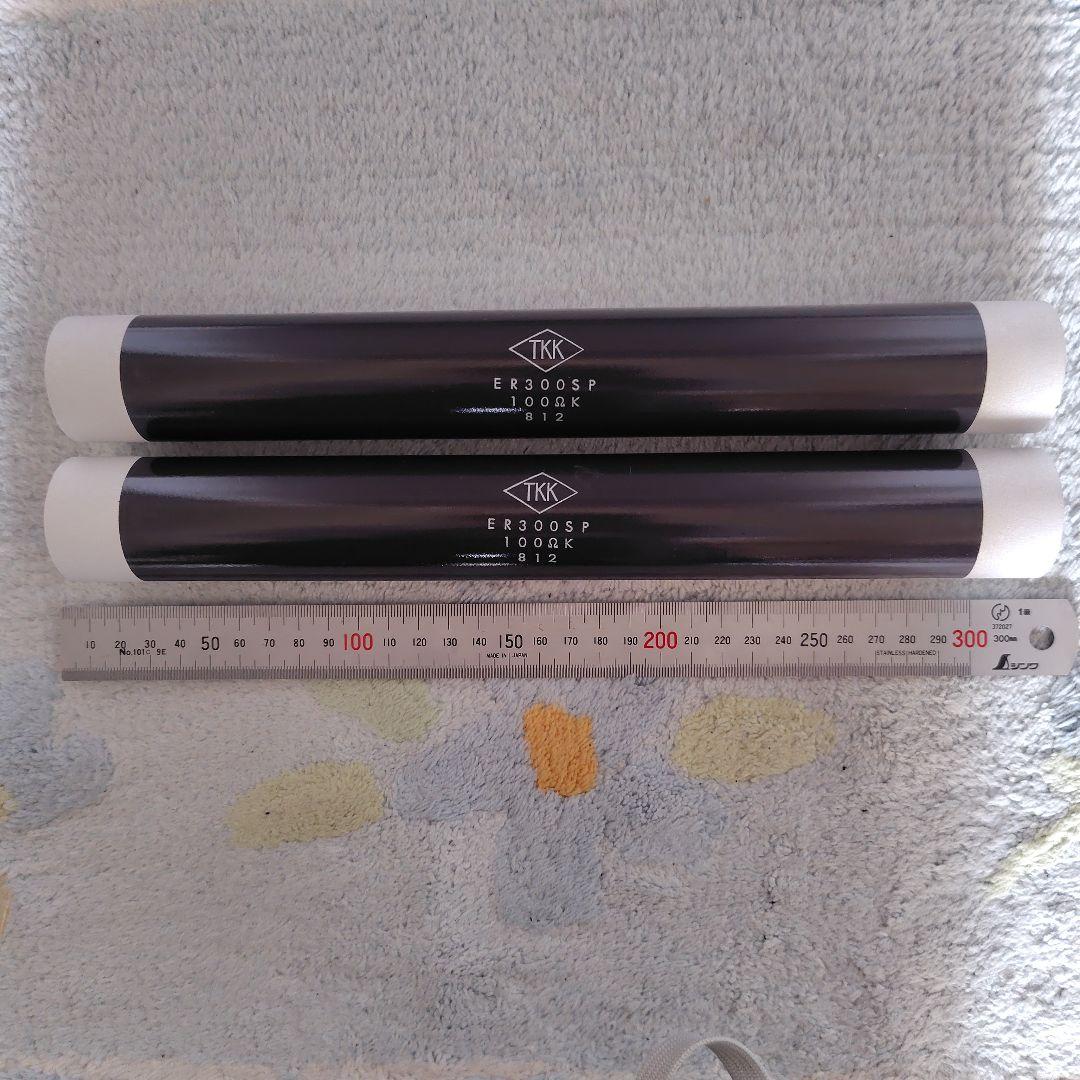無誘導抵抗器　ER300SP　100ΩK　2本セット