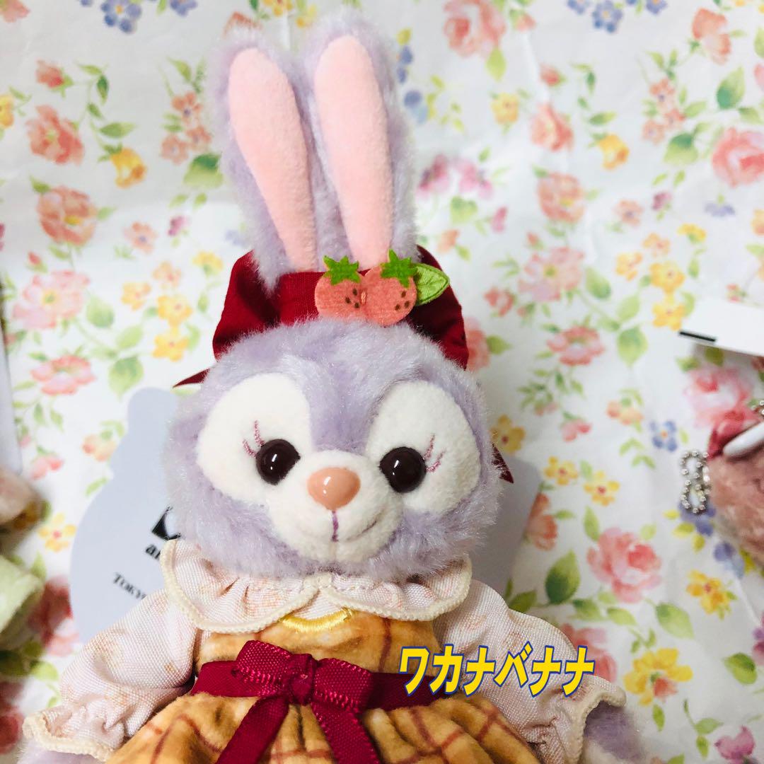 お顔厳選 シェリーメイ ストロベリーギフト ぬいぐるみバッジ 3点 新品タグ付き 画像8