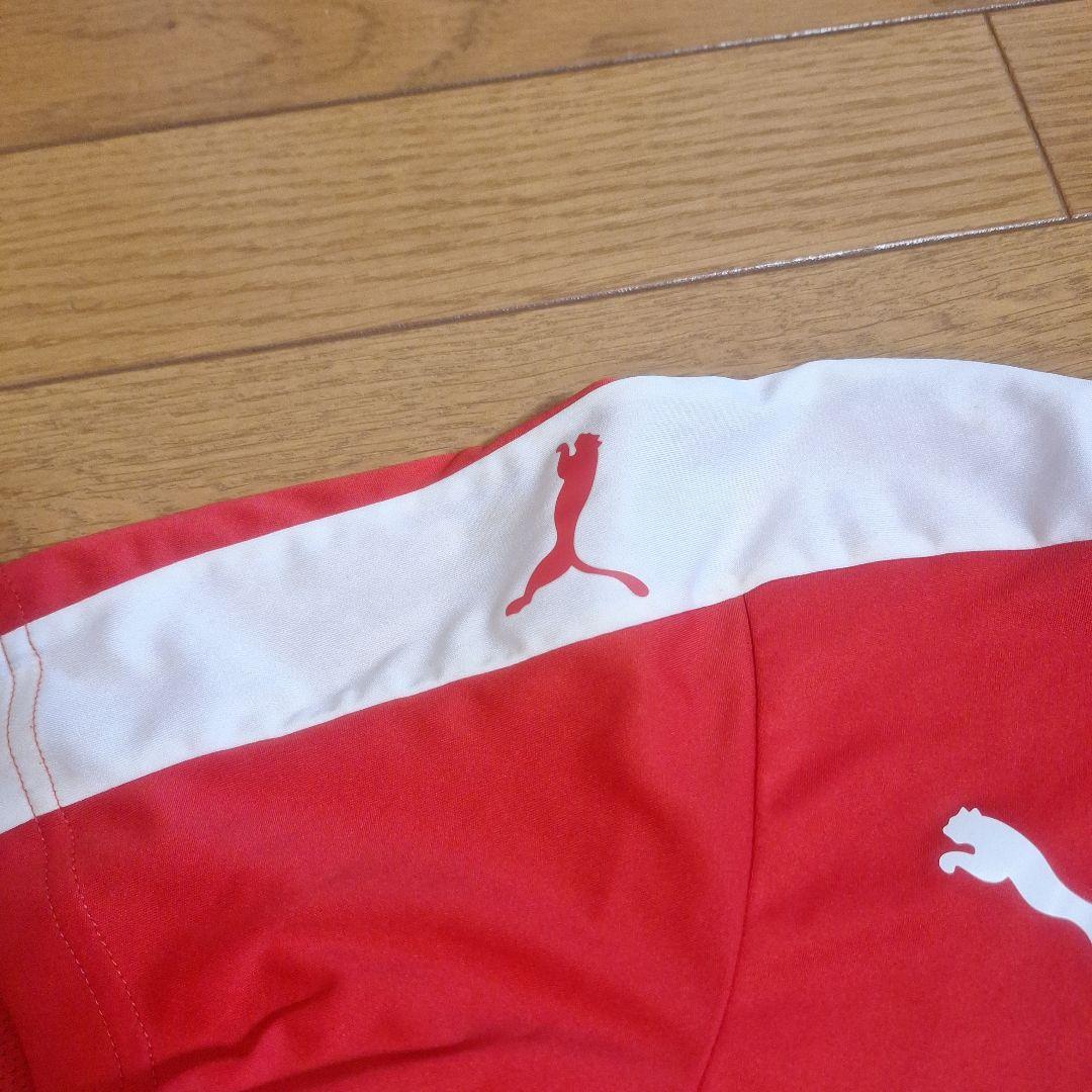 Puma レッド ポロシャツ ショートパンツ セット