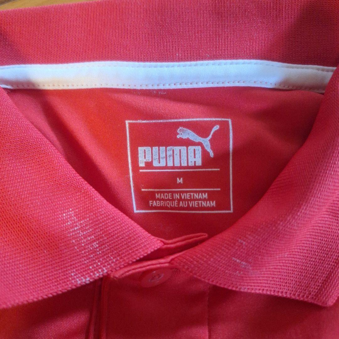 Puma レッド ポロシャツ ショートパンツ セット