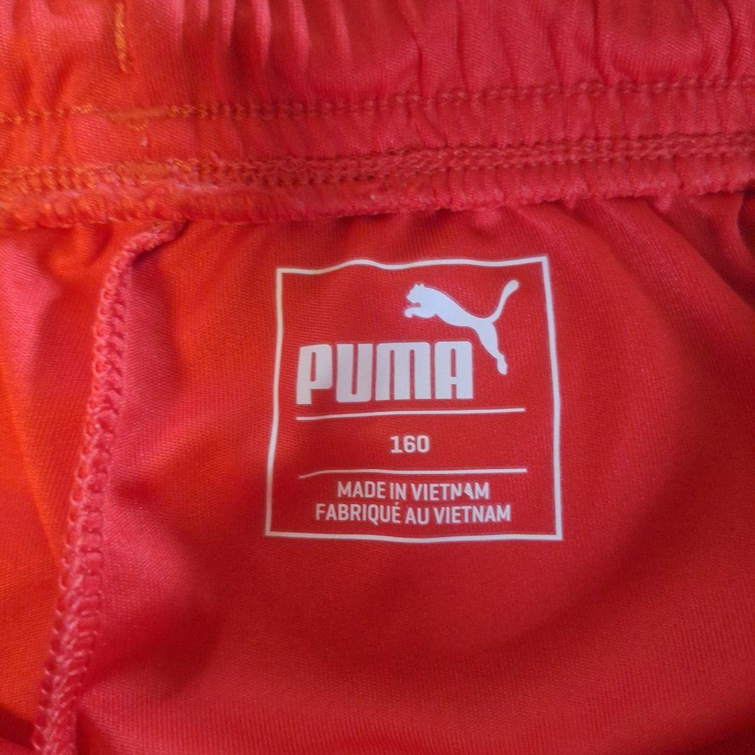 Puma レッド ポロシャツ ショートパンツ セット