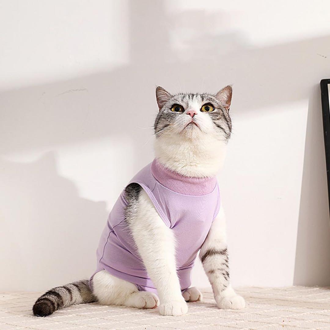 術後服 犬猫用 術後ウェア ペット エリザベスカラー ボタンタイプ 介護服