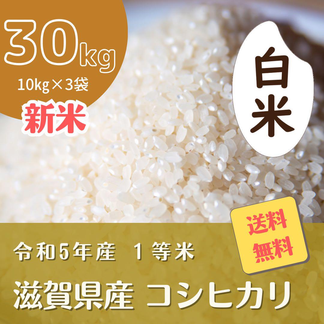 ☆減農薬コシヒカリ☆白米30キロ 令和5年度産 送料無料！(離島は別途必要)