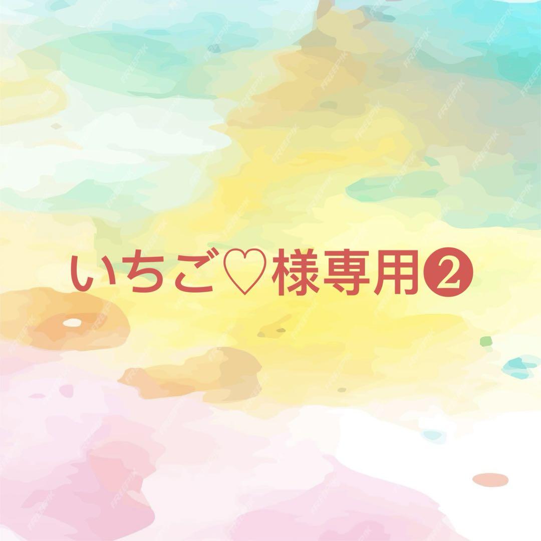 いちご♡様確認専用ページ❷