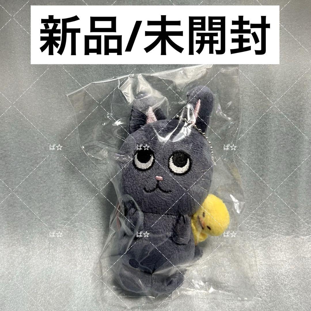 RIIZE ウォンビン ドール トニャンドク トニャンドク WE LITTLE RIIZE ポップアップ ウォンビンドール