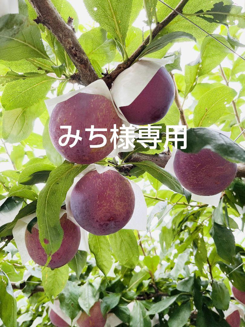 ・みちページ
