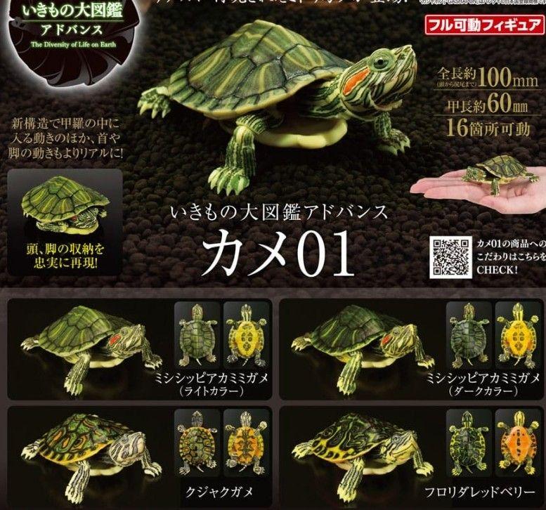 オンライン版 いきもの大図鑑アドバンス カメ01 全4種 コンプセット 新品
