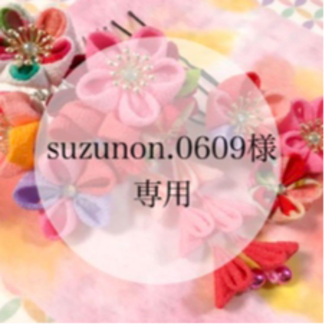 期間限定お試し価格 Suzunon 0609様専用