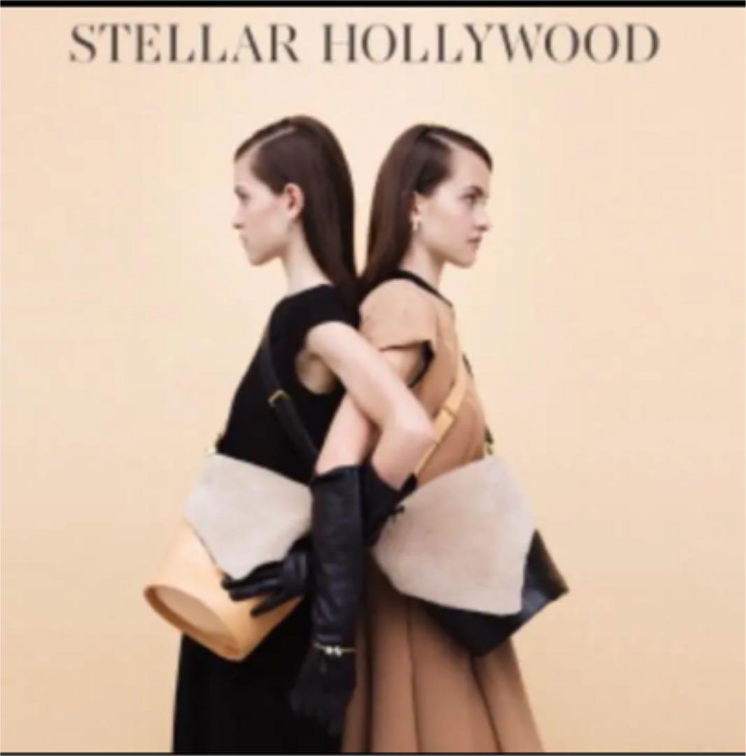 ⭐️お値下げ中⭐️ STELLAR HOLLYWOOD バケツバッグ ZWMoY-m50545731860 限定OFF