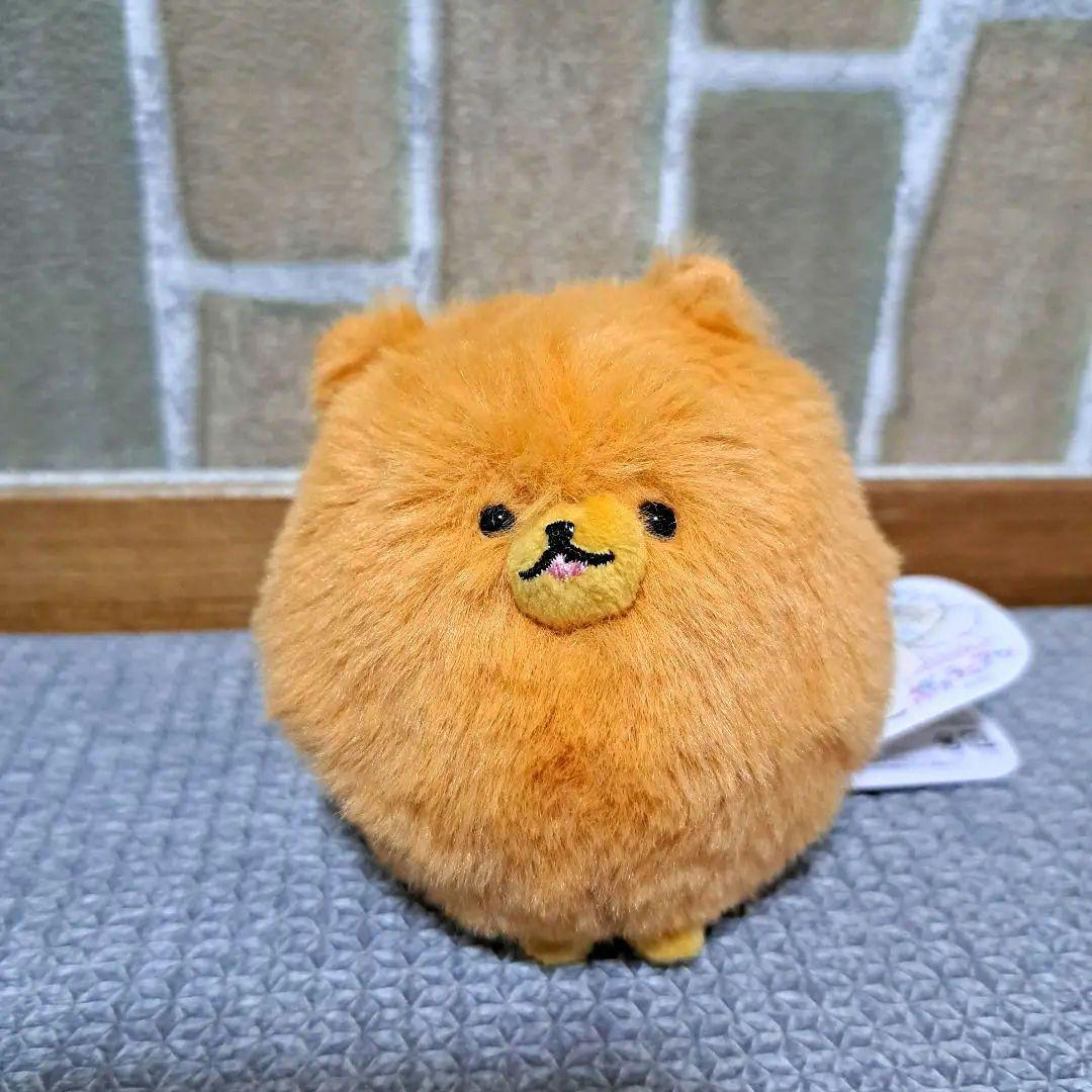 しっぽぶんぶんポメラニアン ちゃポメ