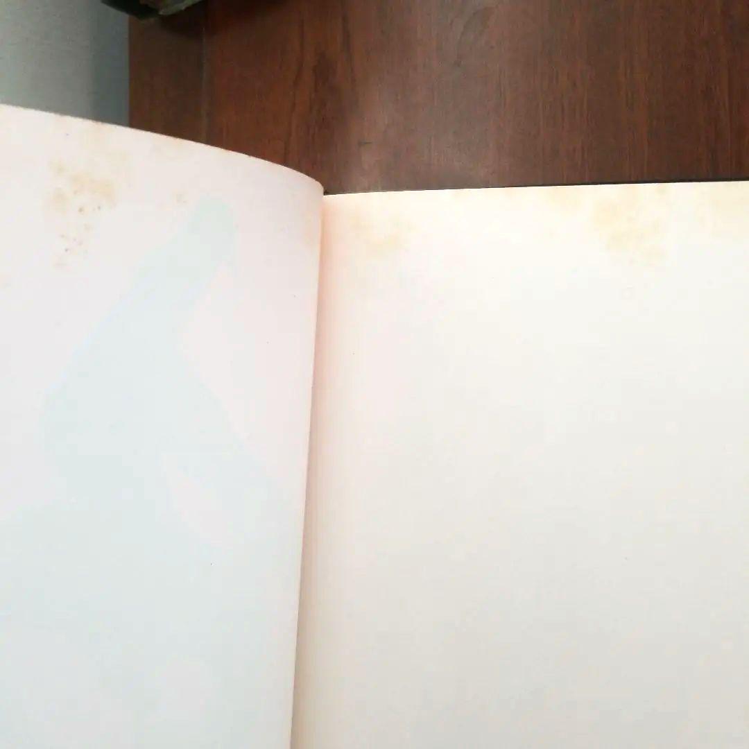 洋書 Art and Technique of Sumi-e UkaiUchiyama
