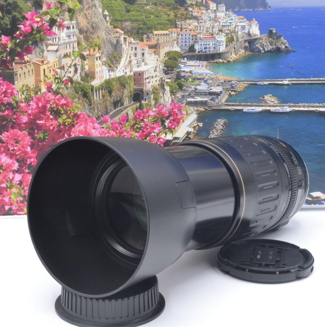 一枚の写真から!キヤノン Canon 望遠レンズ 300mm 望遠はここから!