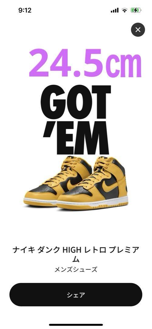 Wu-Tang Clan × Nike Dunk High Retro PRM