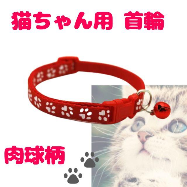 春のコレクション フェロビタII 猫 M サイズ rmladv.com.br 春のコレクション フェロビタII 猫 M サイズ rmladv.com.br