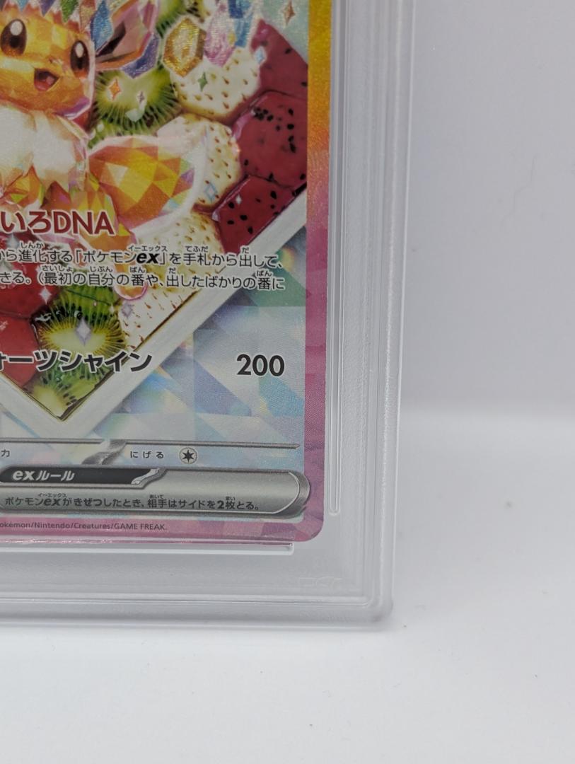 ポケモンカード イーブイex SAR テラスタルフェス EEVEE PSA10