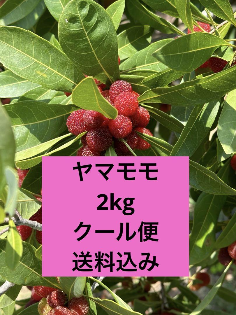 ヤマモモ 岡山県産 2kg クール便 送料込み